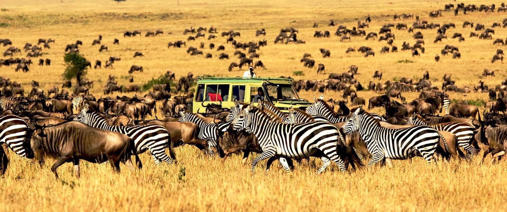 7 Days Northern Circuit Safari