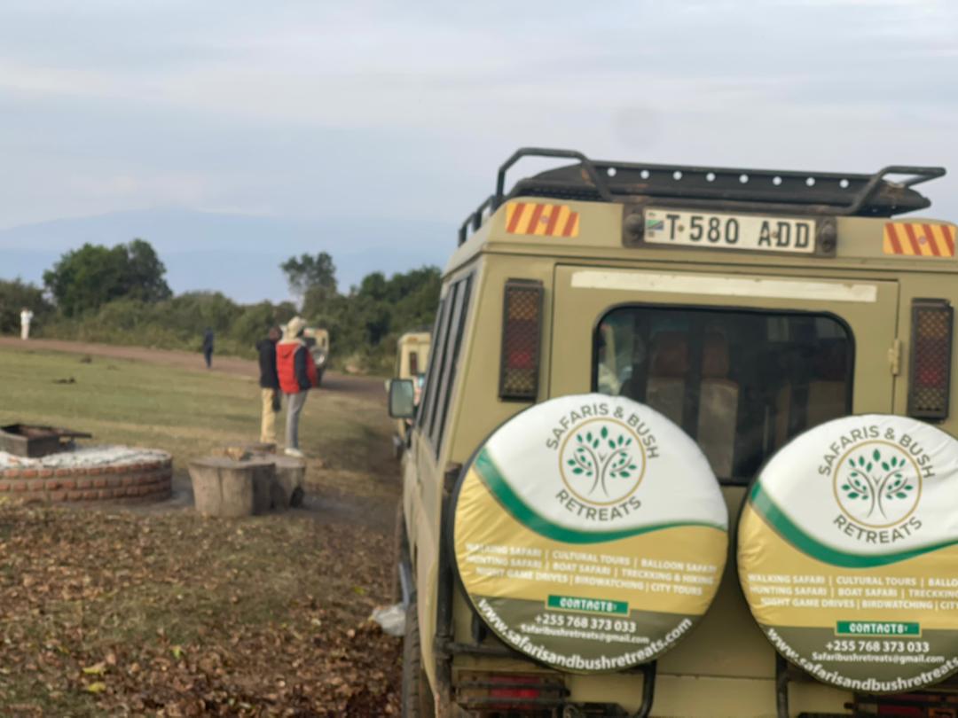 Safari guide with guests on a game drive
