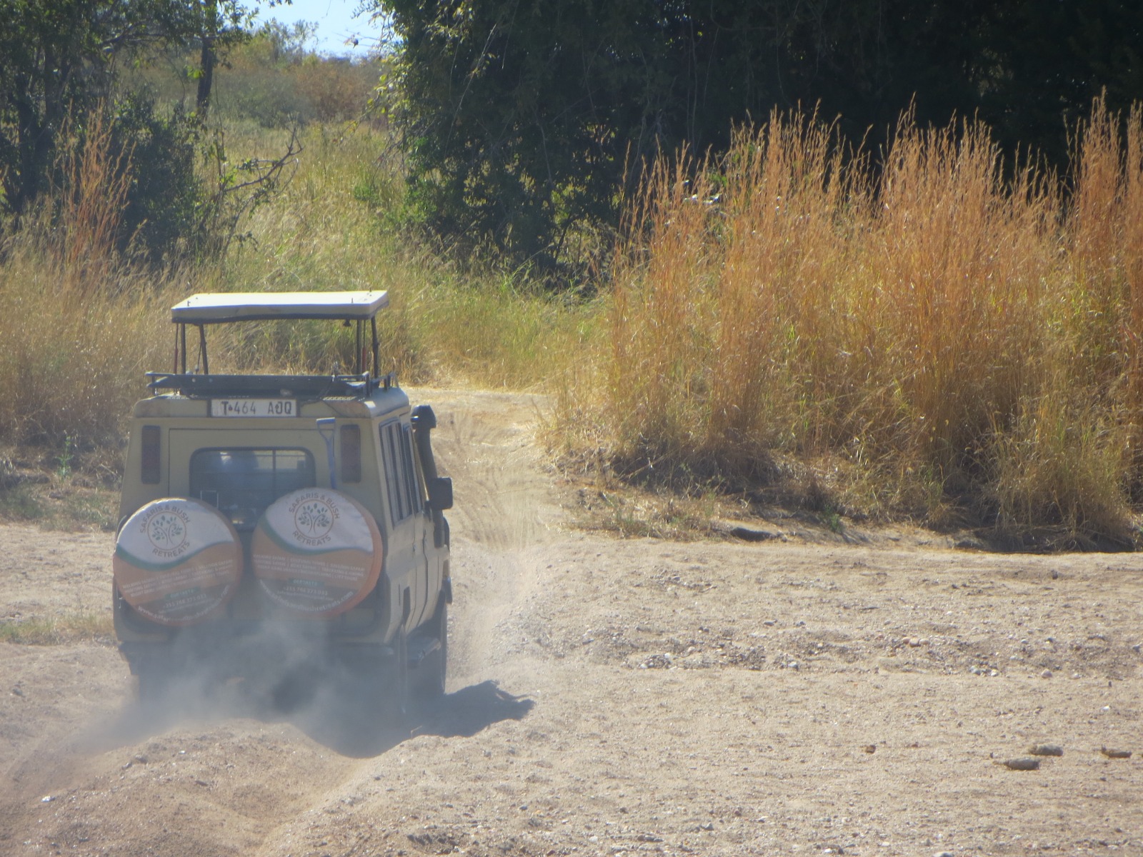 Wildlife and landscape on safari