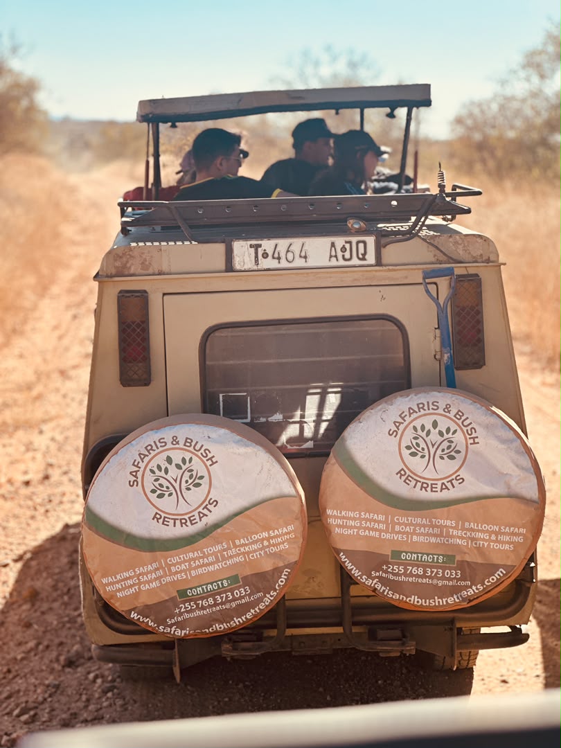 Life on safari — wildlife encounter