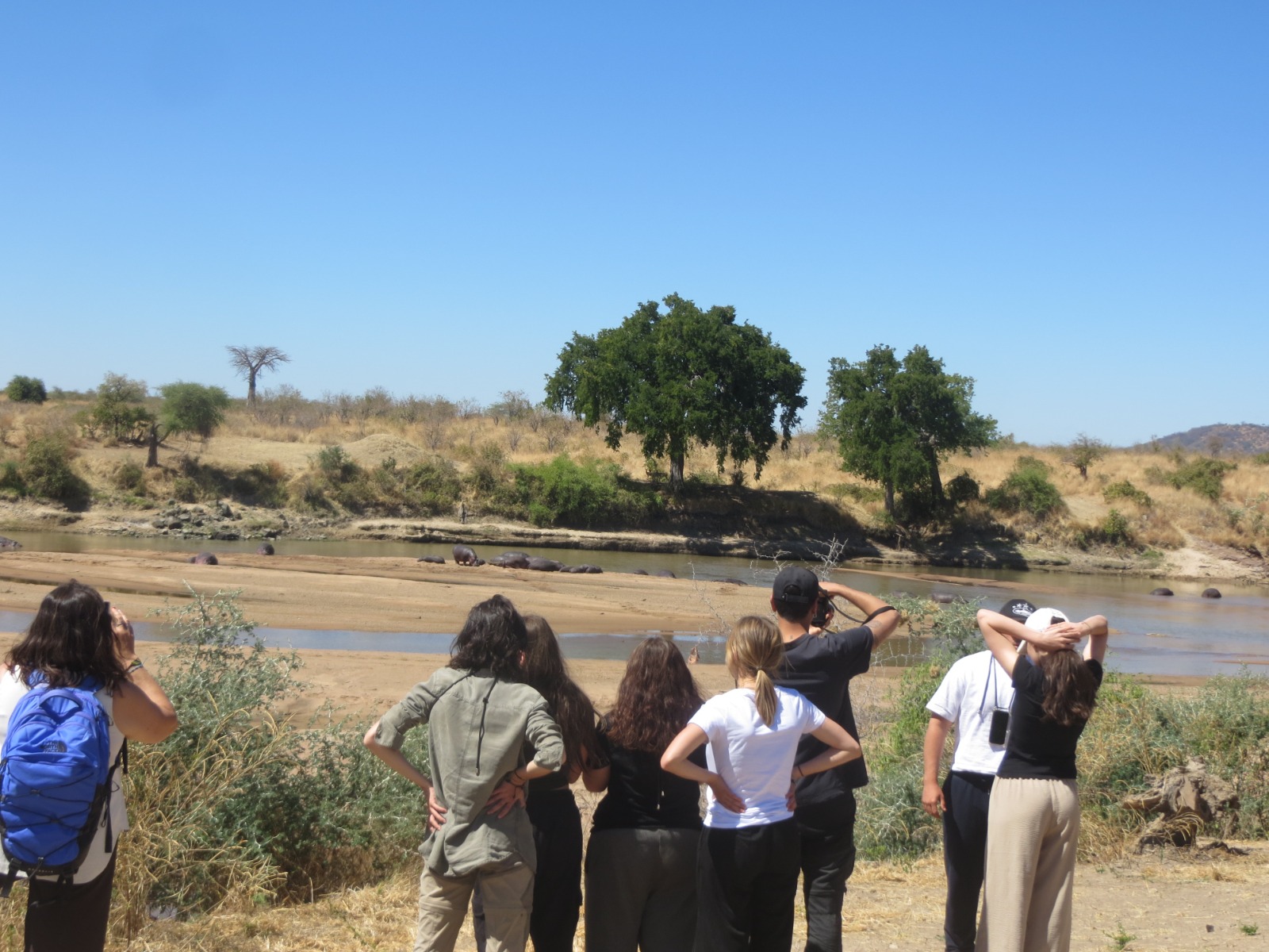 Life on safari with Safari and Bush Retreats