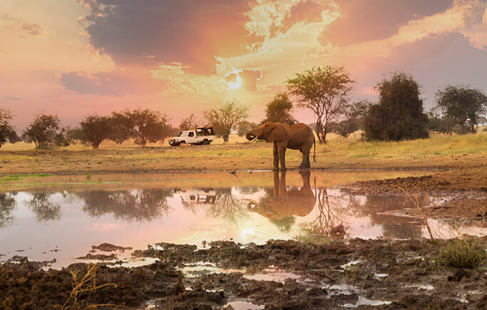 Sarova Hotels