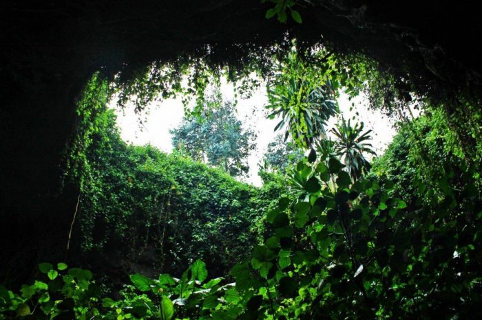 Musanze landscape