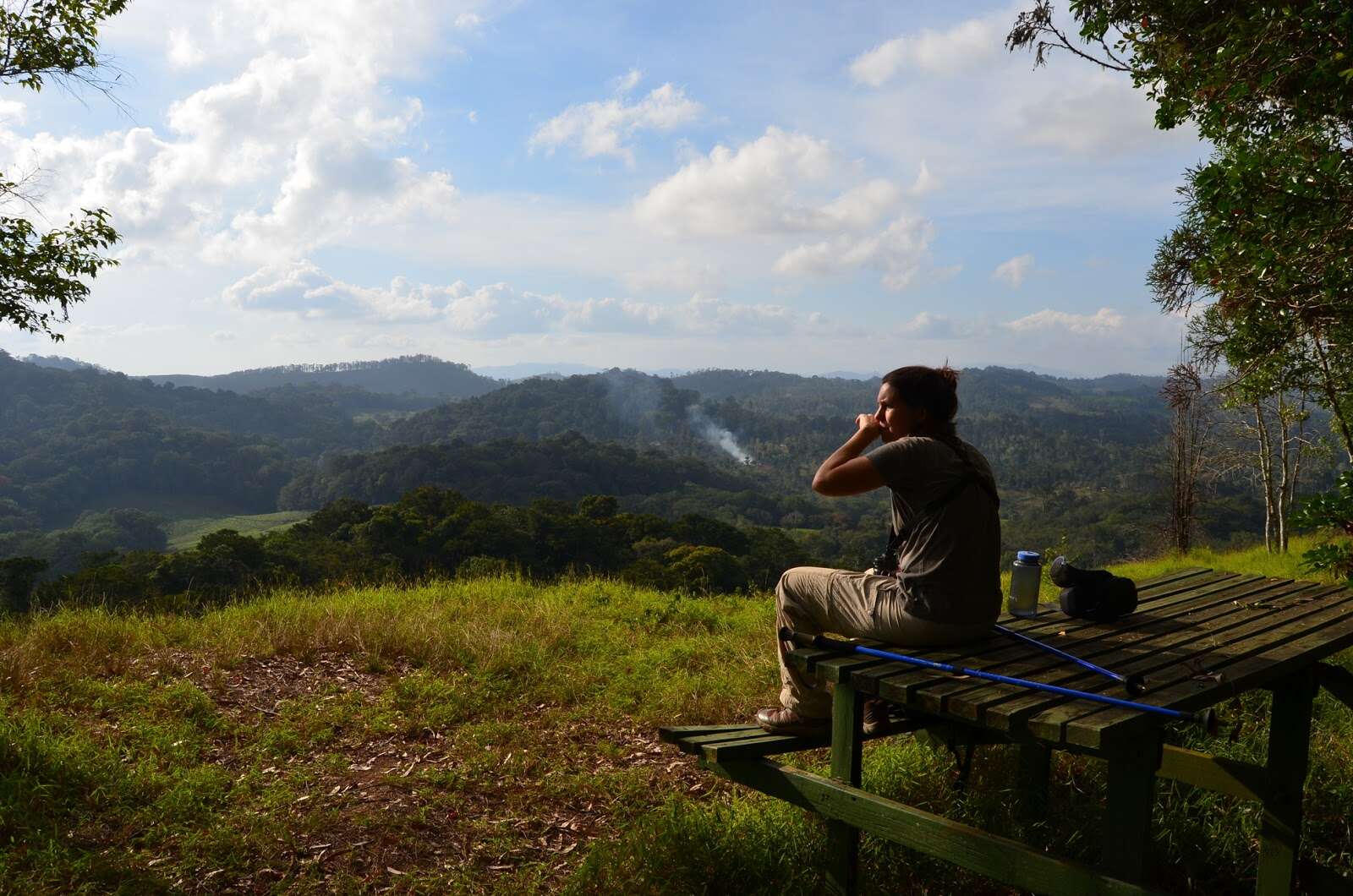 Amani Nature Forest Reserves landscape