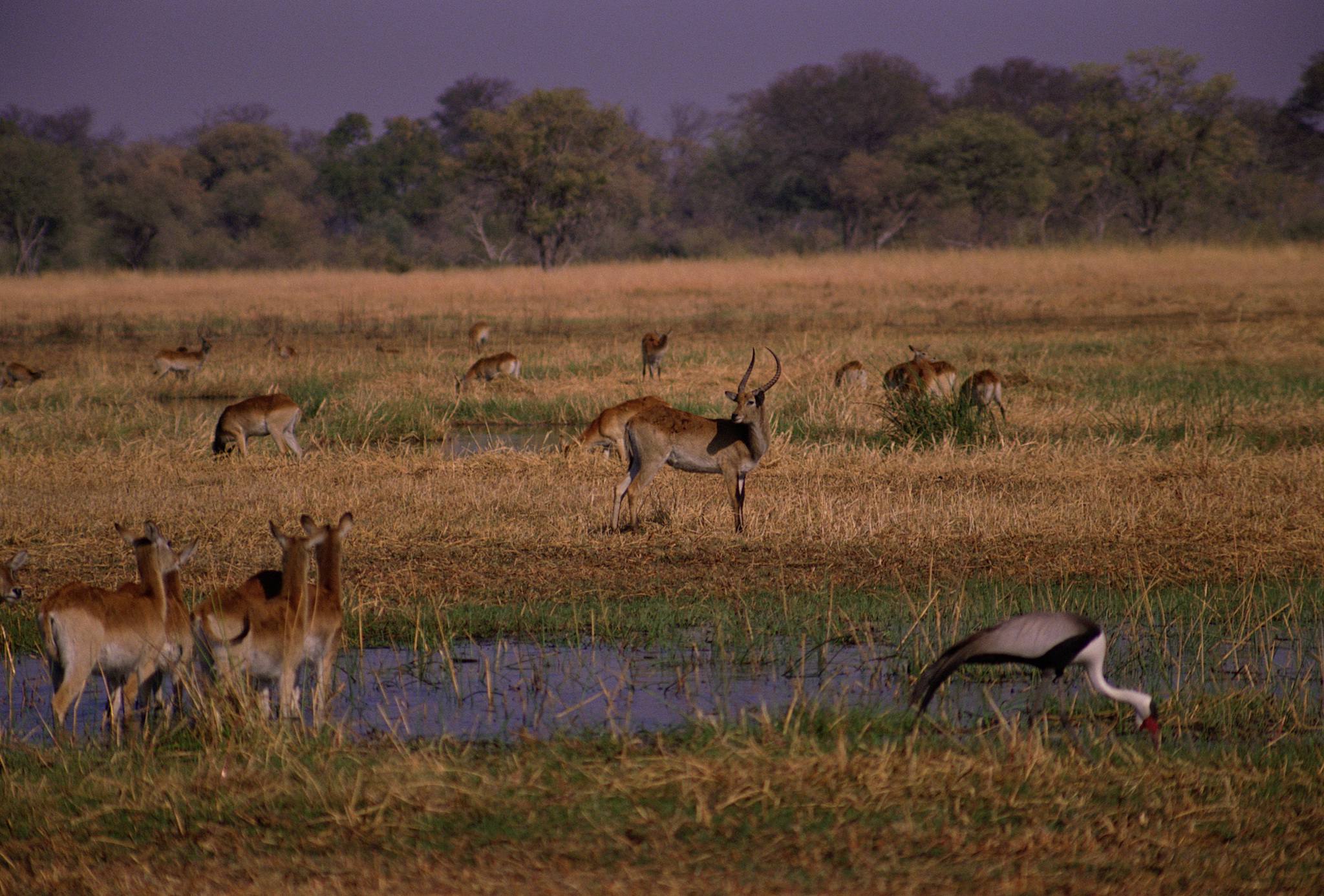 Ibanda-Kyerwa National Park