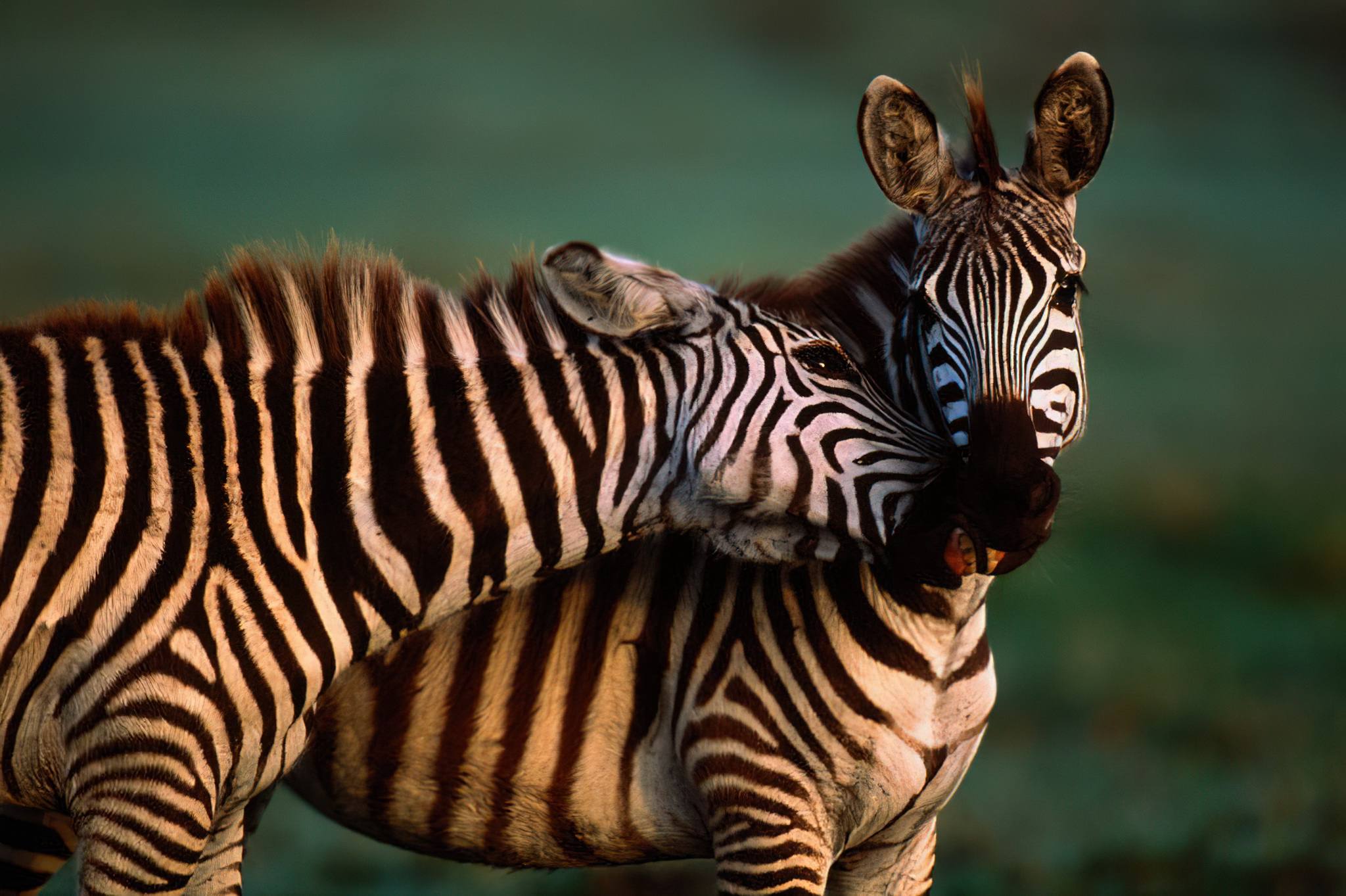 Ibanda-Kyerwa National Park landscape