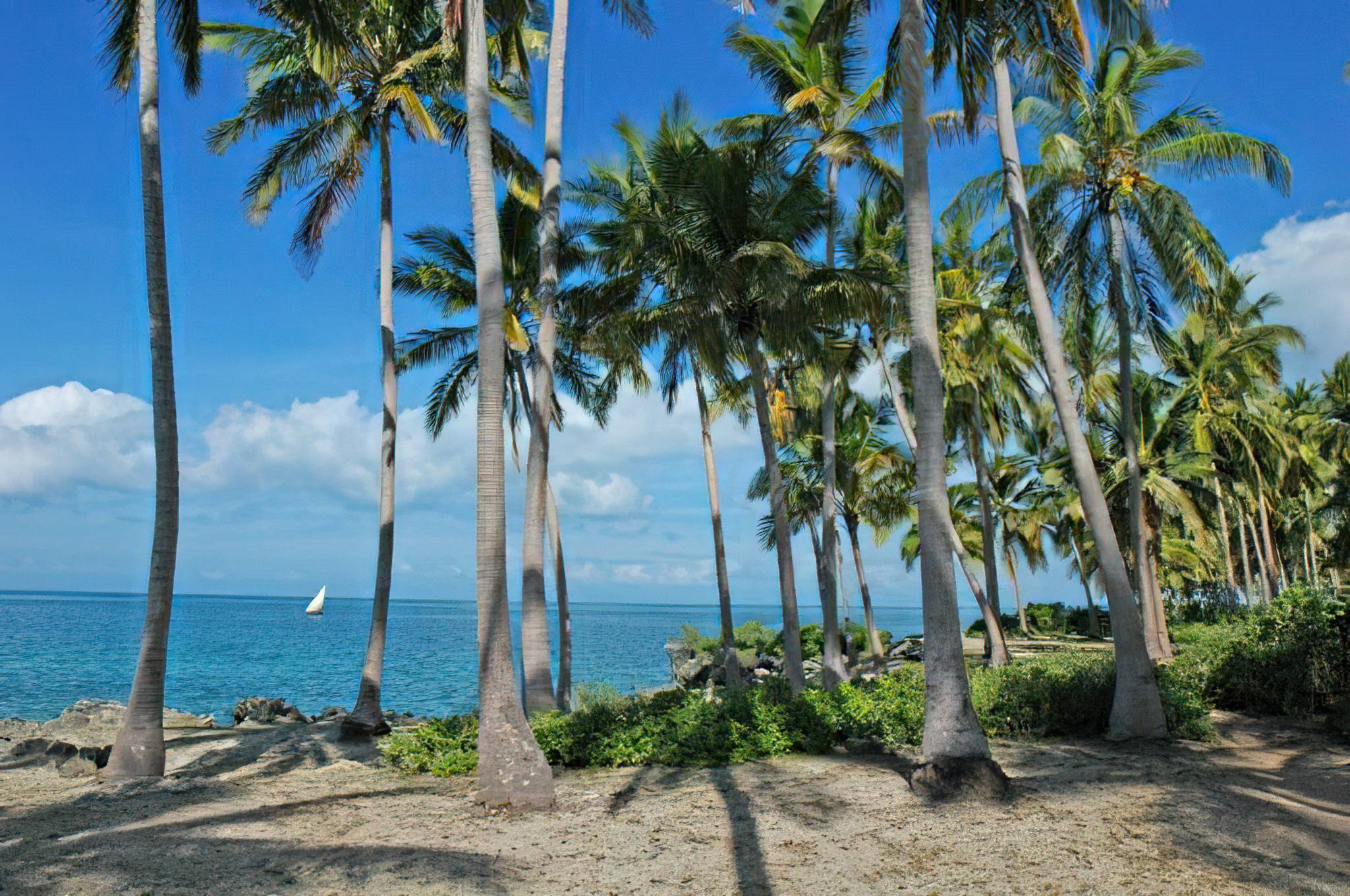 Jibondo Island, Mafia