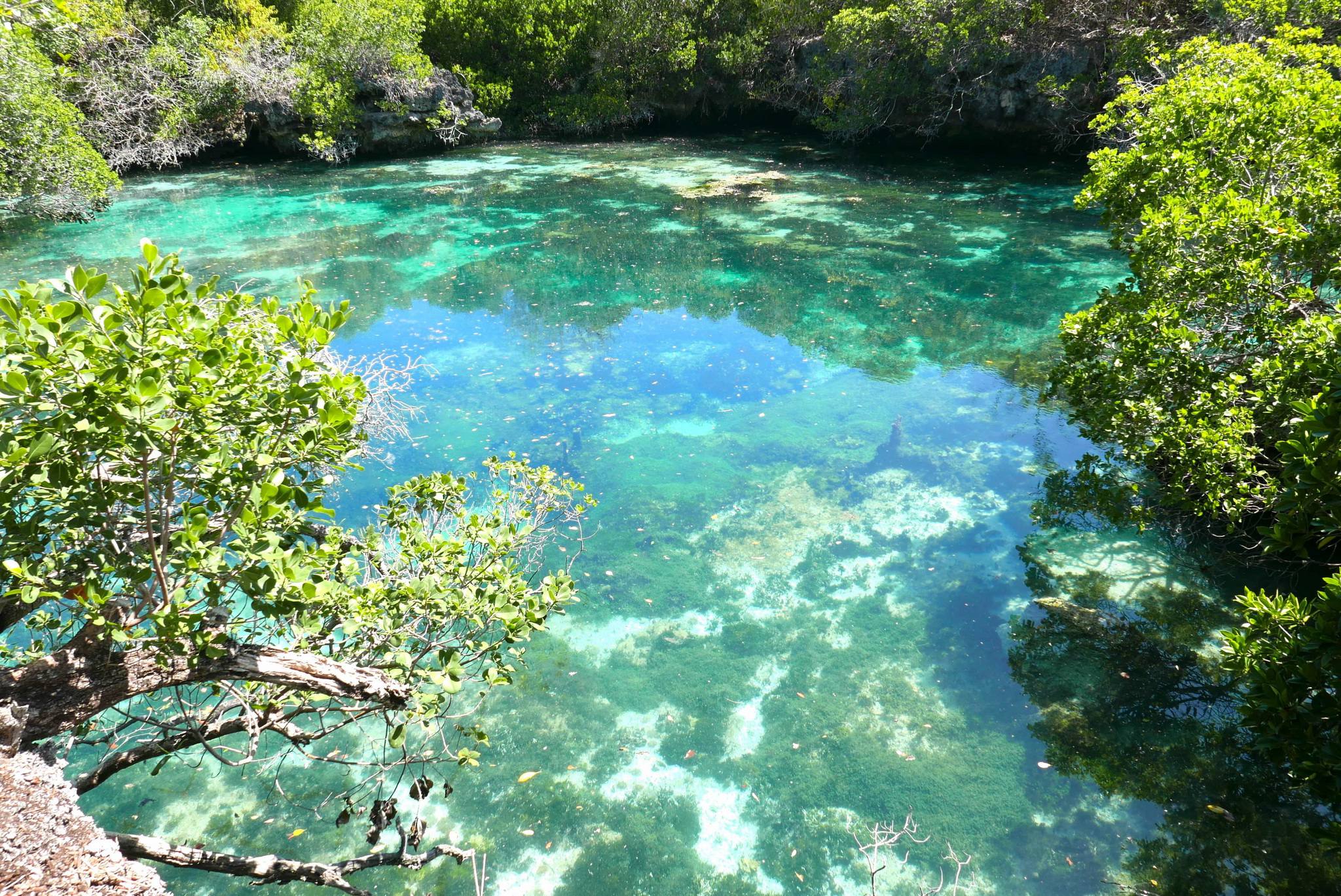 Juani Island landscape