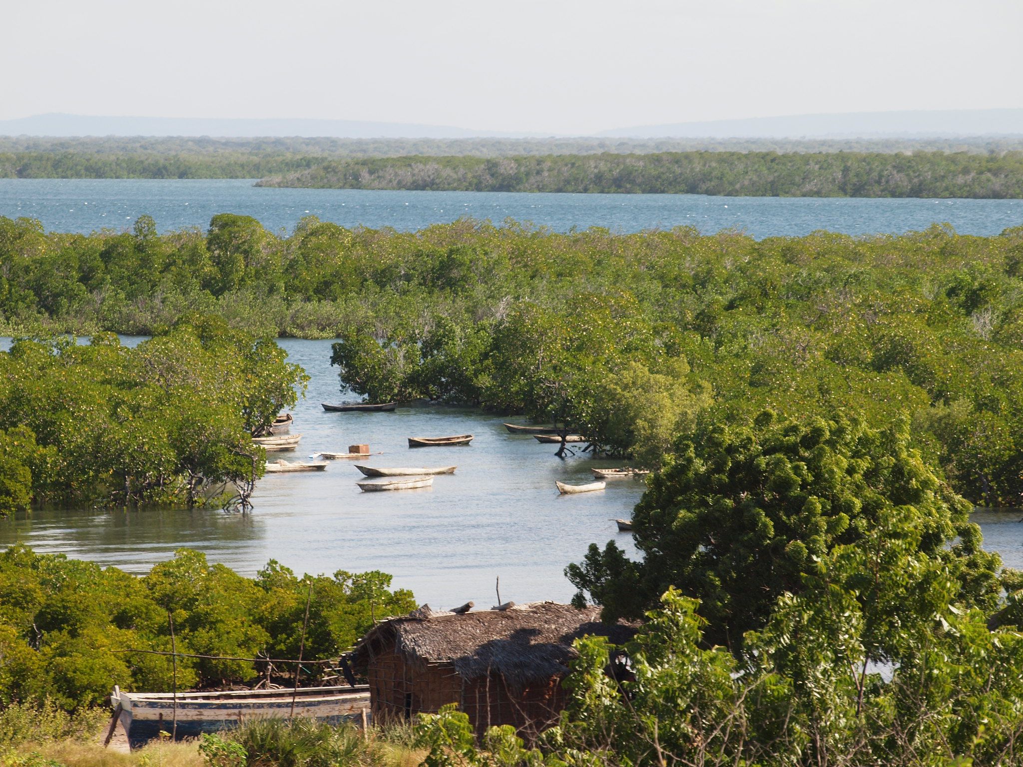 Kilwa landscape