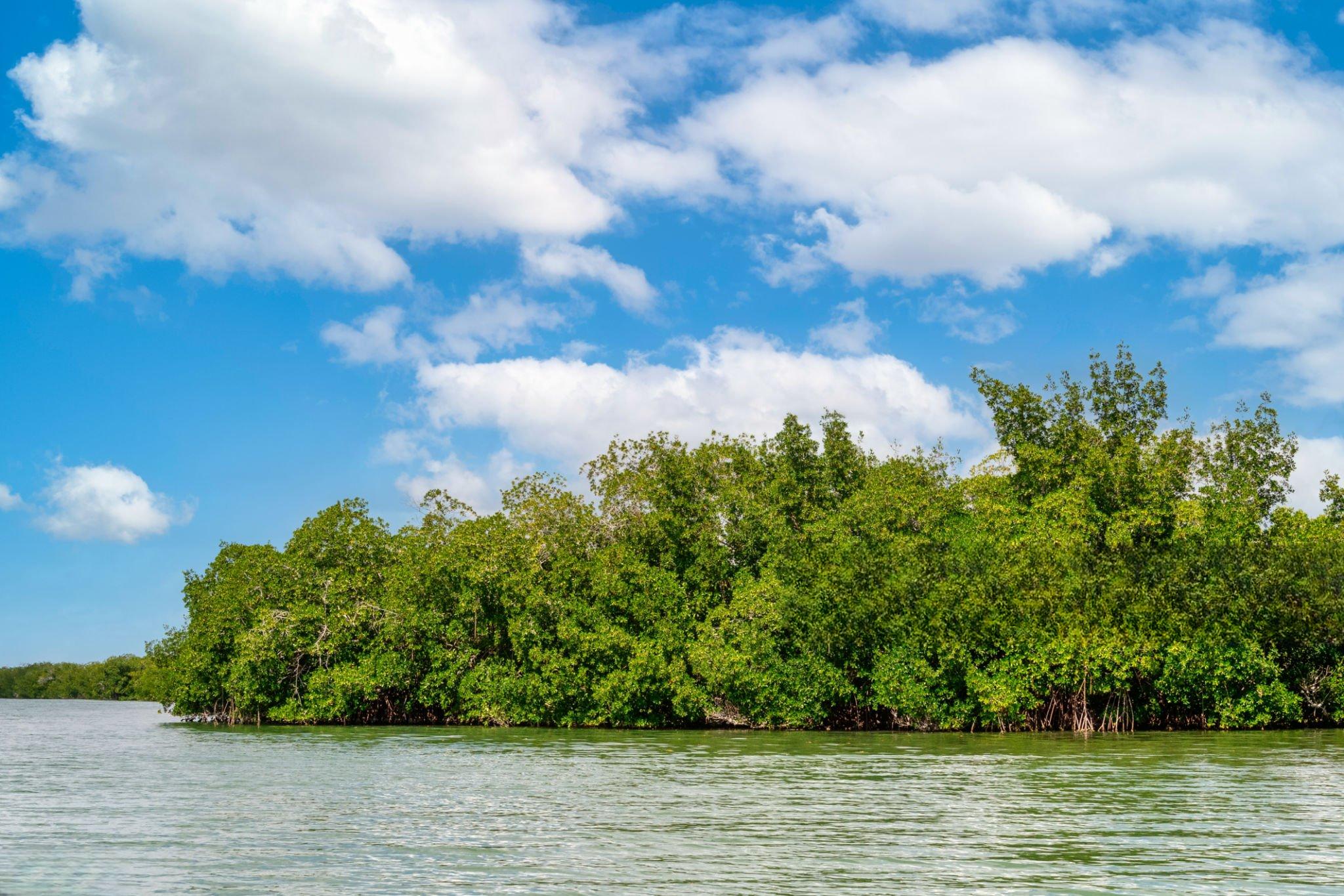 Kirui Island Marine Reserve landscape