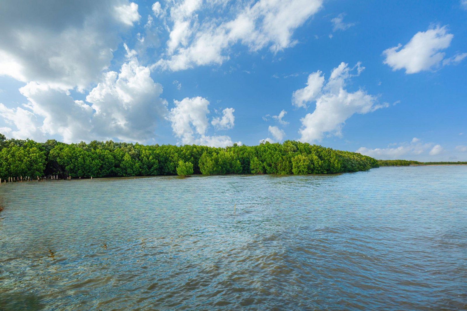 Kwale Island Marine Reserve