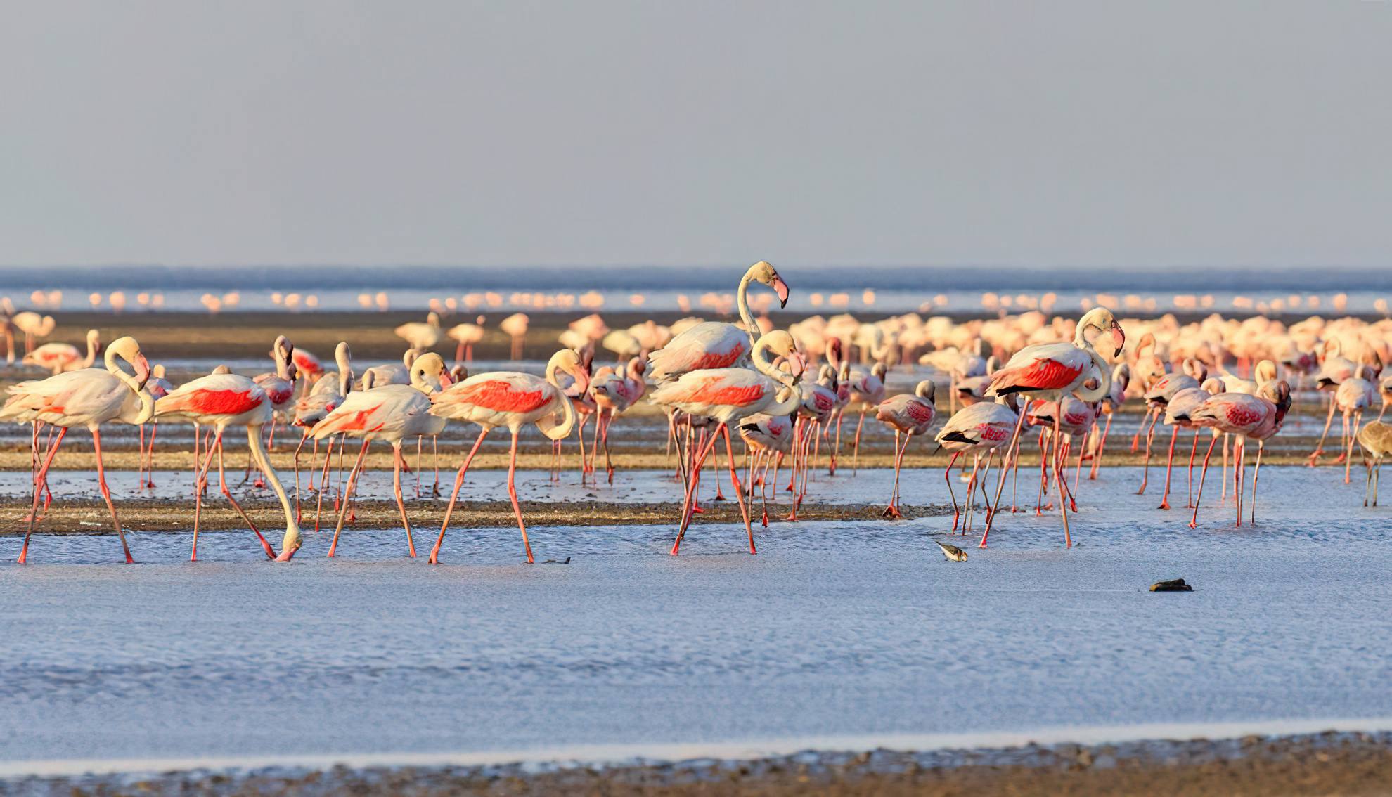 Lake Natron landscape