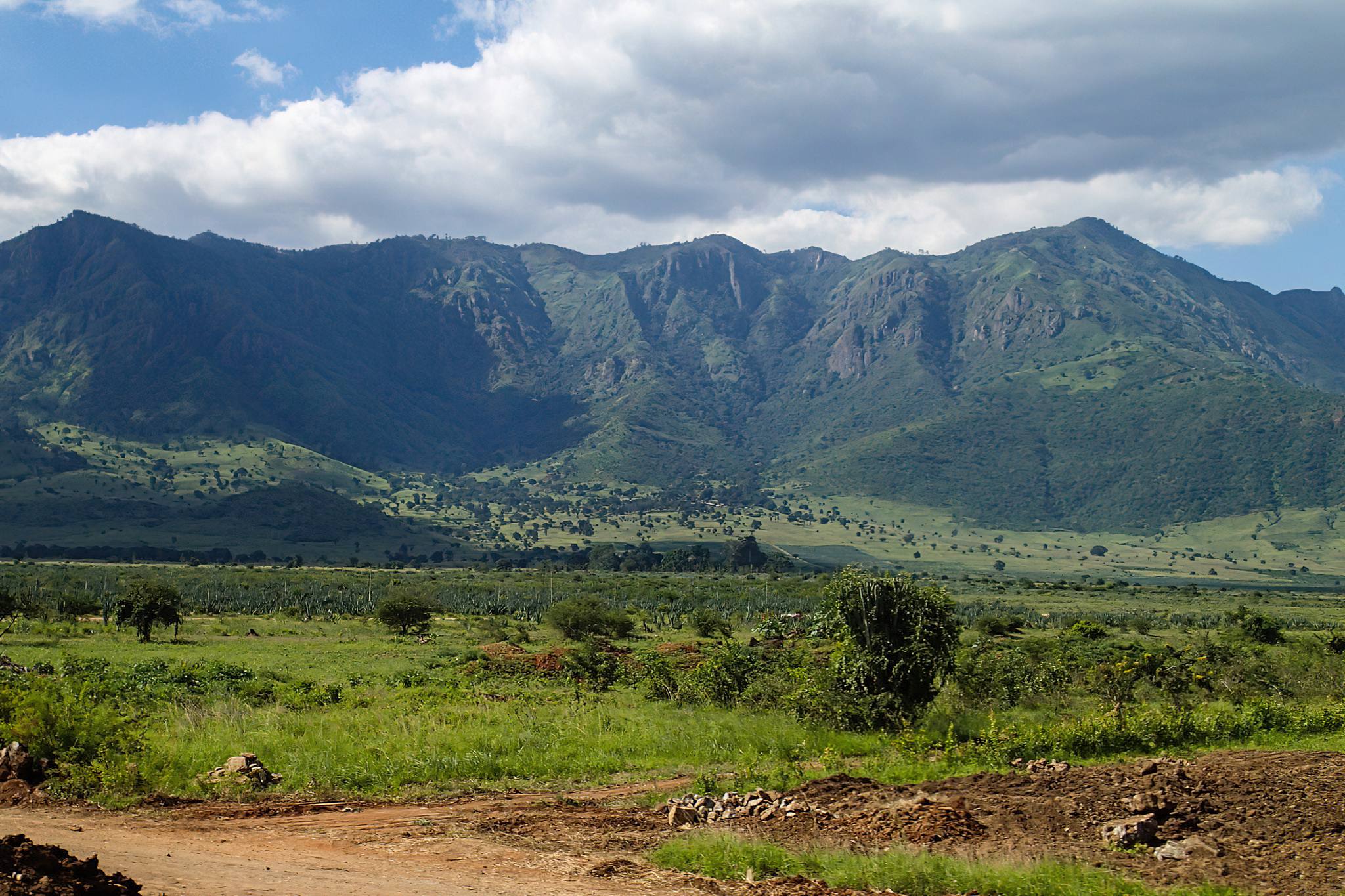 Pare Mountains landscape