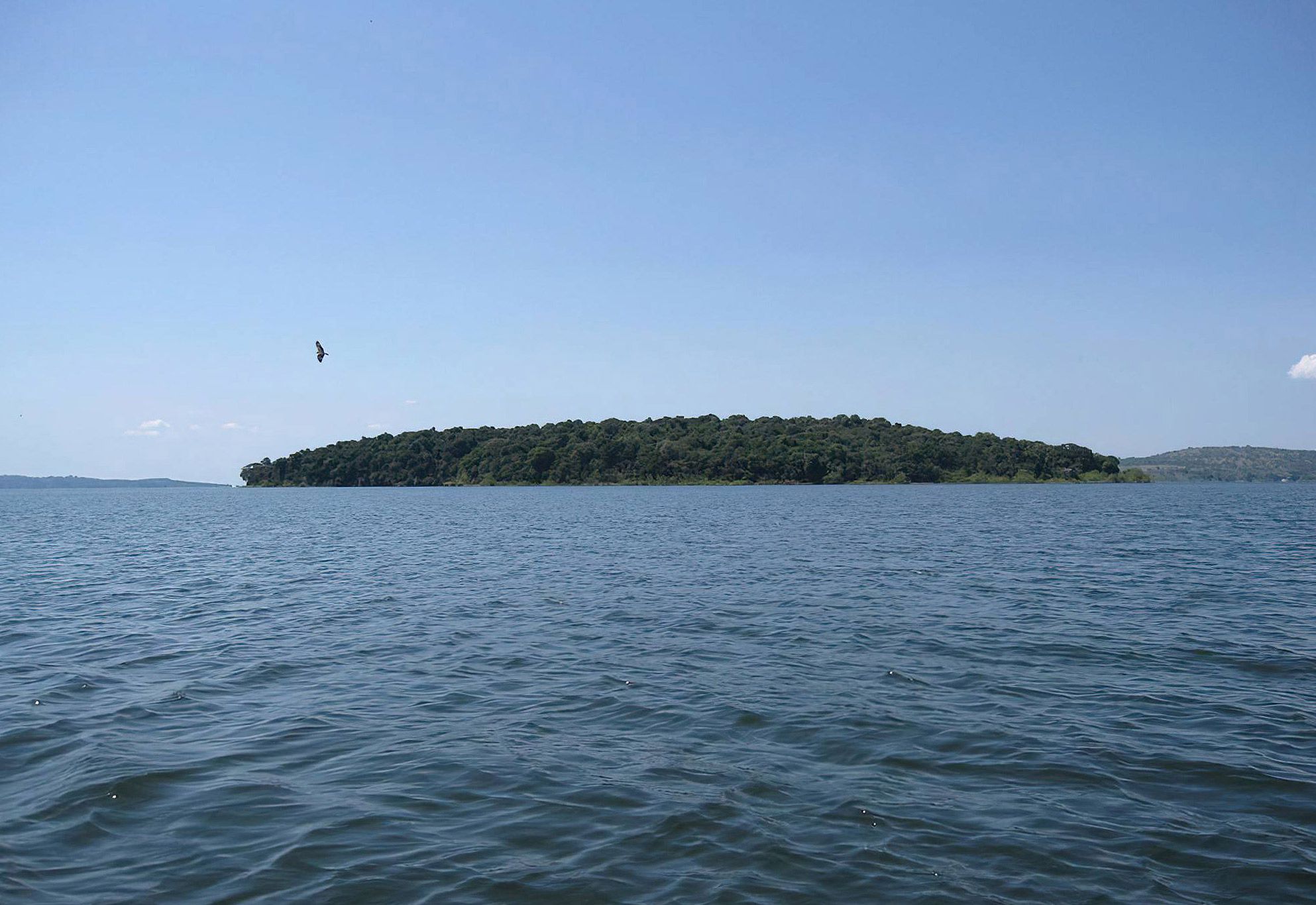 Rubondo Island National Park landscape