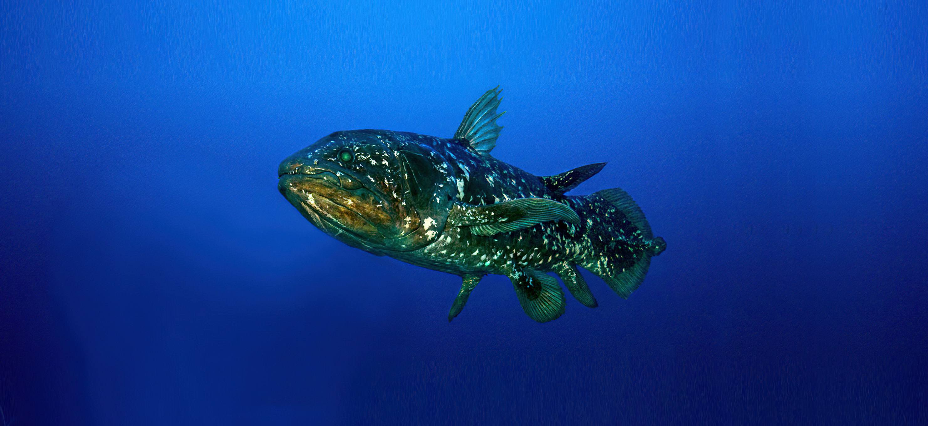 Tanga Marine Park & Reserves