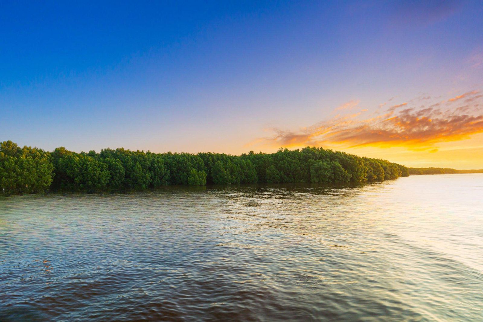 Ulenge Island Marine Reserve