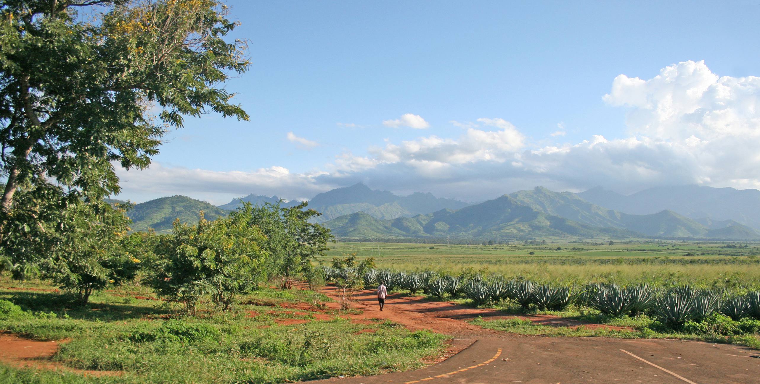Uluguru Mountains landscape