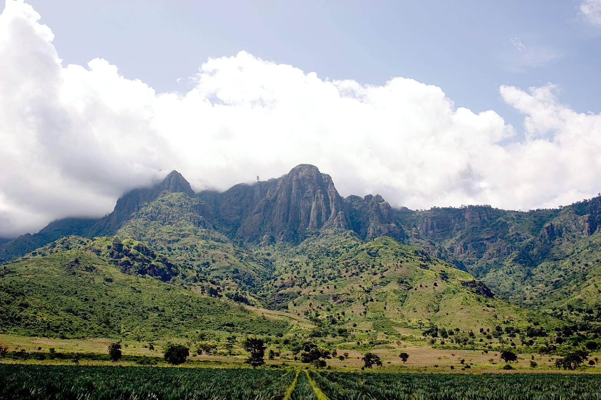 Usambara Mountains landscape