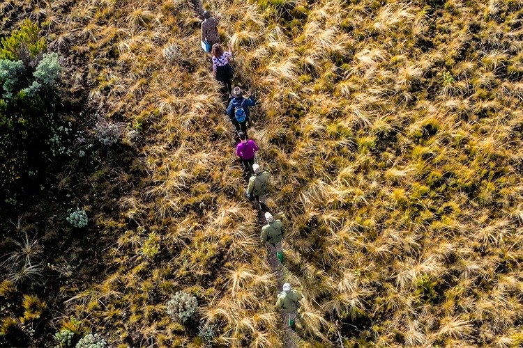 Mount Elgon National Park landscape
