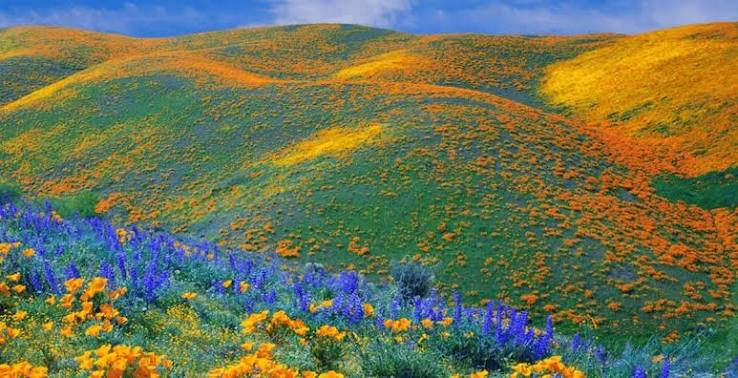Kitulo National Park landscape