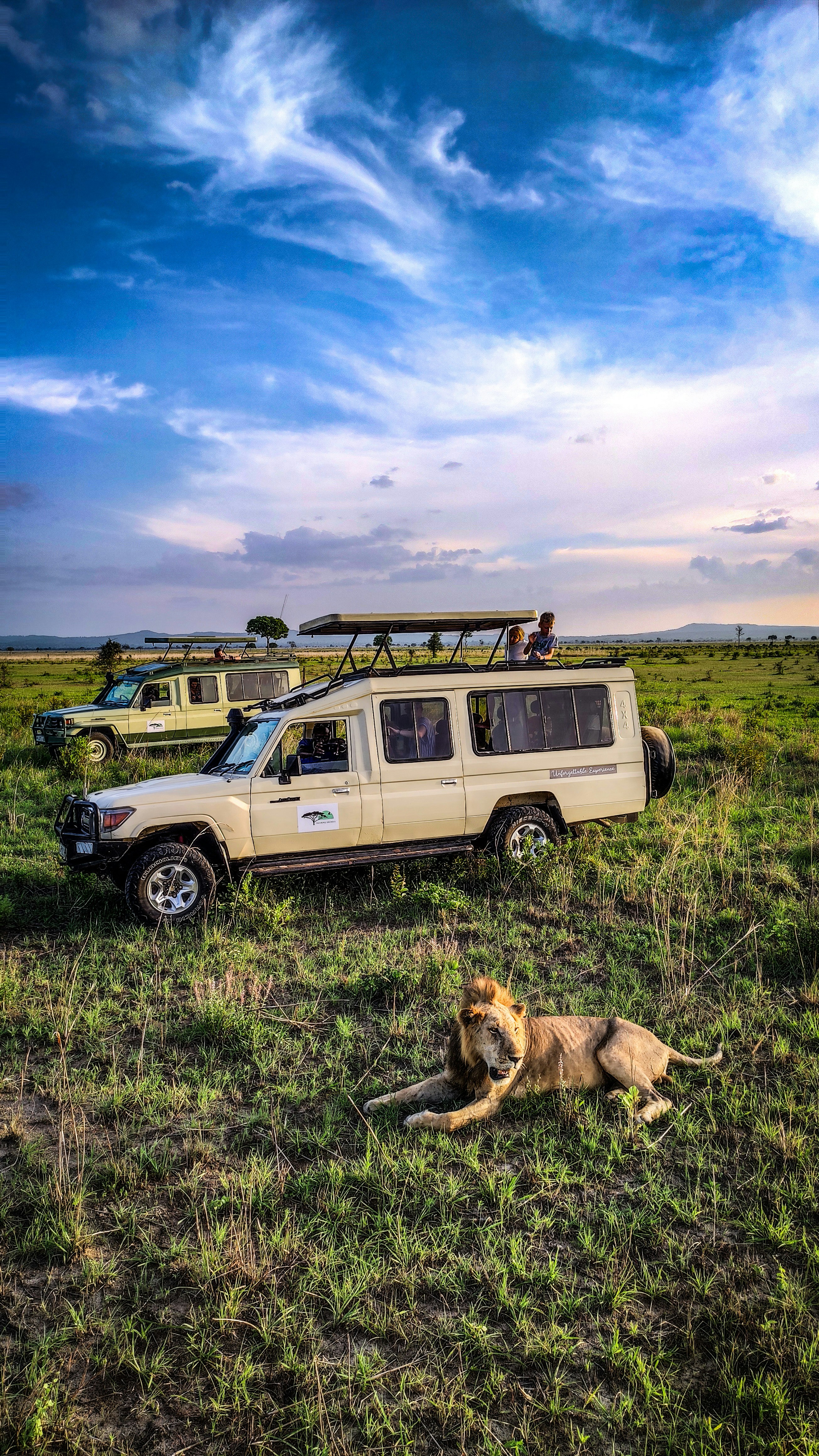 Wildlife on the plains in Mikumi National Park