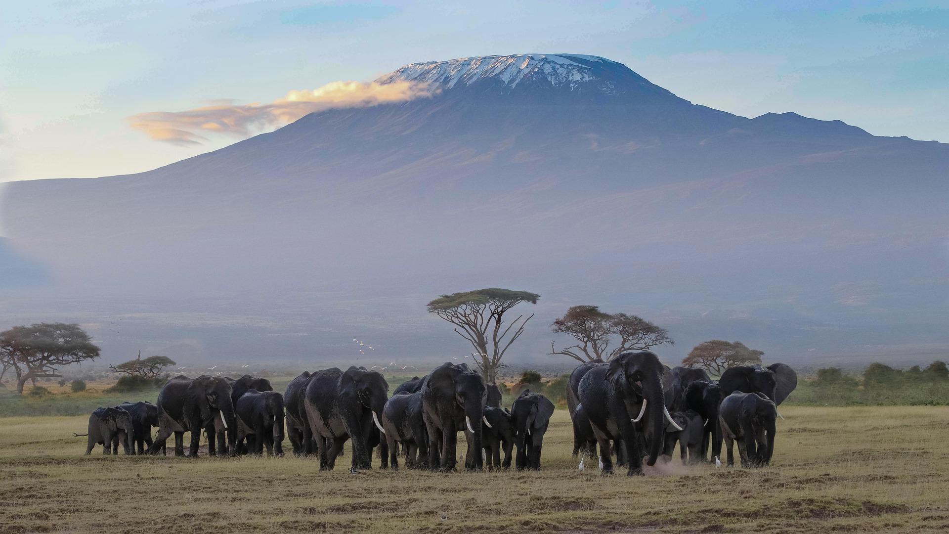 Kilimanjaro Machame 7-Day Trek