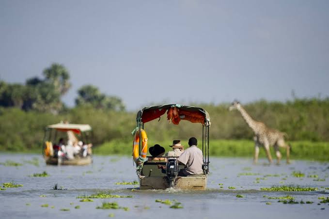 4 Days Safari to Nyerere and Mikumi National Parks