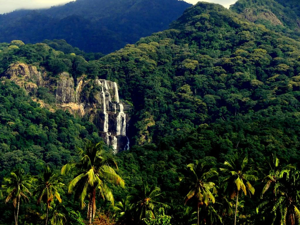 Udzungwa Mountains National Park landscape